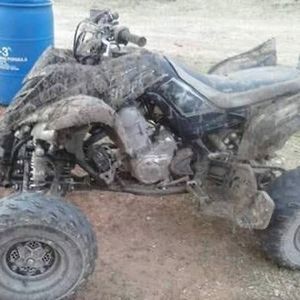 Meet your Posher, Bruce